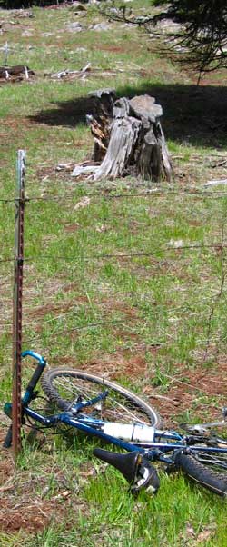 A fence in the national forest?