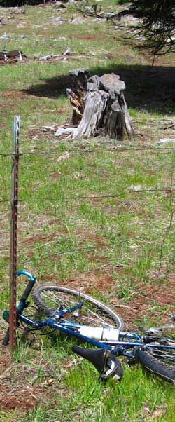 A fence in the national forest?