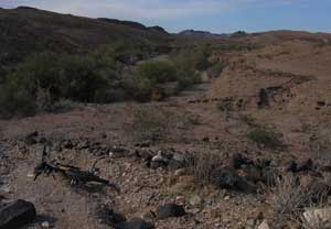 A bike ride into the desert wilderness