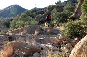 Overlooking the valley where 1,000 Apaches hide from the US Calvary, Cochise Stronghold