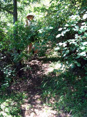 Hiking through brush