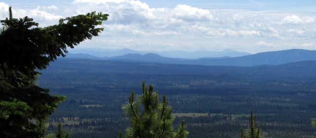 Looking south toward Mt. Shasta, only 10 miles from our resort