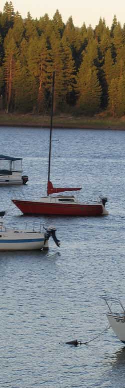 Pepper is on a buoy at dusk