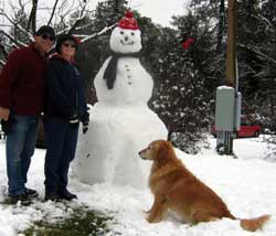 New hat and gloves make the snowman