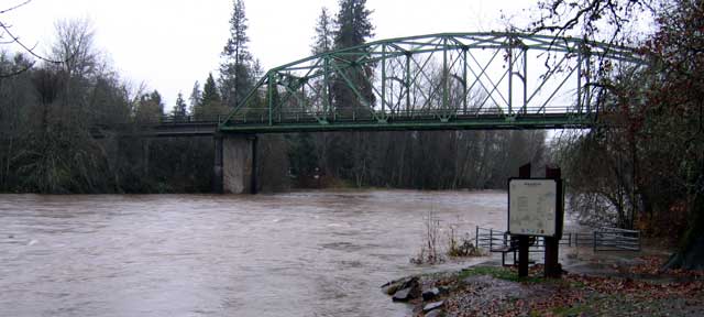 Near flooding Rogue River