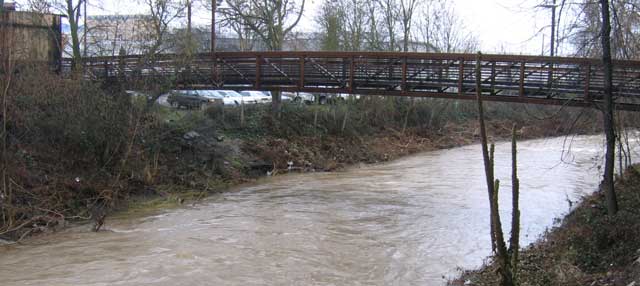 Swollen Bear Creek