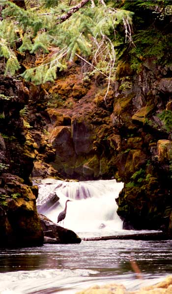 Upper Rogue River