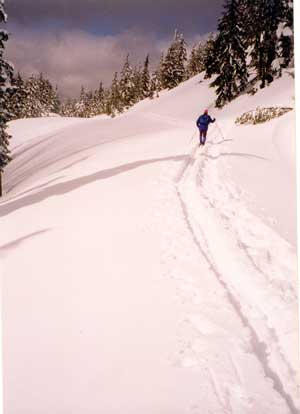 Cascade Mountains Snow