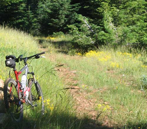 The trailhead for riding around Table Mountain