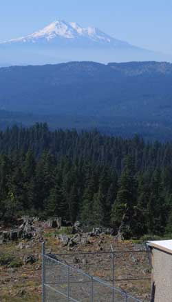 A view from the tower, Mt. Shasta