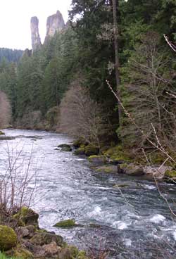 "Old Man"  Rock on the North Umpqua River