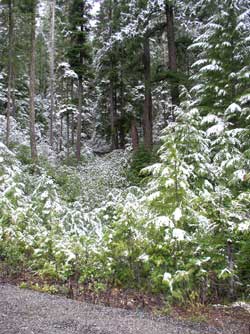 An overnight dusting of snow