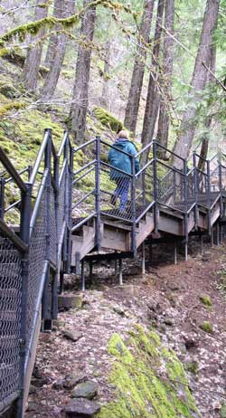 The hike to Toketee Falls