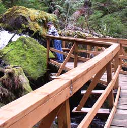 The hike to Watson Falls